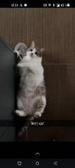 Photo de Milo