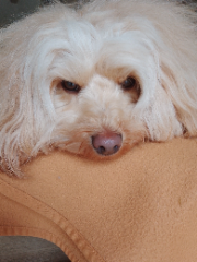 Photo de Samy