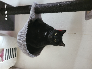 Photo de MIA