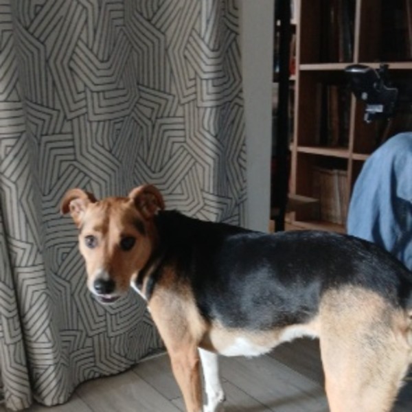 Photo de Freya