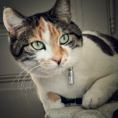 Photo de Gilda