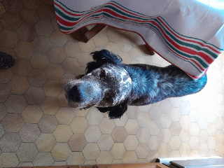 Photo de LOLA