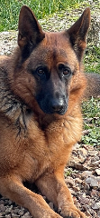Railey