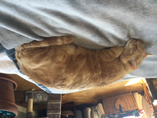 Photo de Mimi