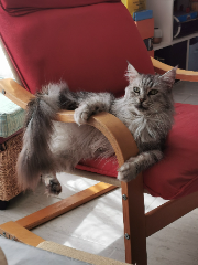 Photo de Ondine