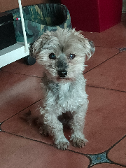Photo de CARAMEL