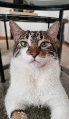 Photo de YUMI