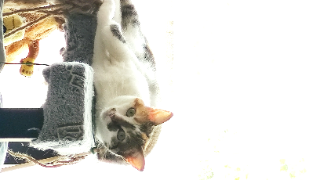 Photo de Mio