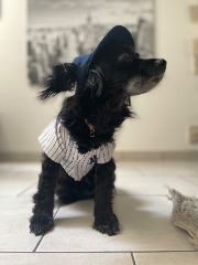 Photo de Curly