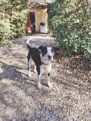 Photo de Pépère