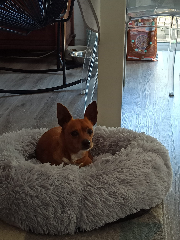Photo de Bonny