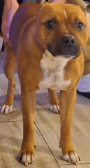 Photo de NALA