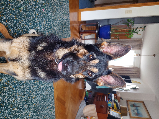 Photo de Freya