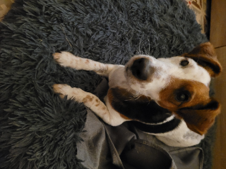 Photo de Oscar