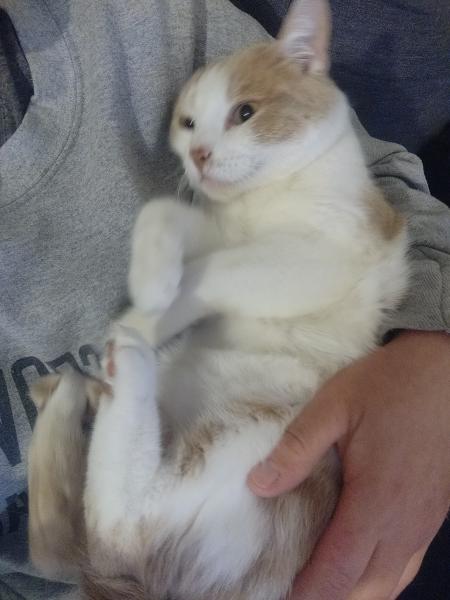 Mia