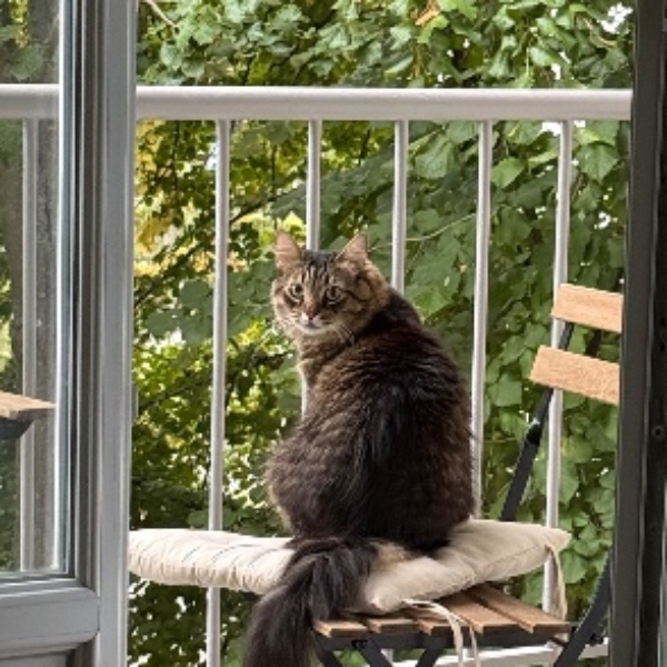 Photo de Titou