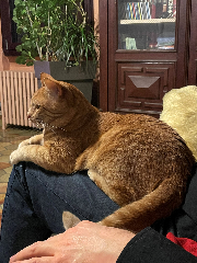 Photo de Squeak