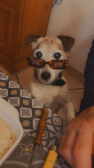 Filou