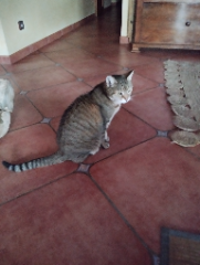 Photo de Bouboule