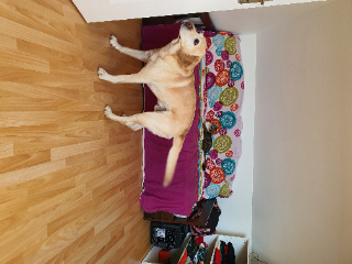 Lenny