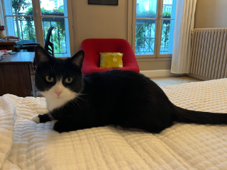 Photo de Gnocchi