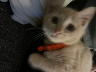 Photo de Mia