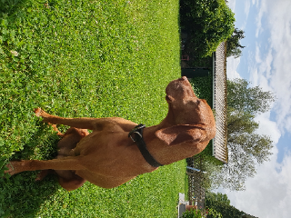 Photo de Jolka