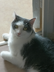 Photo de Rusty