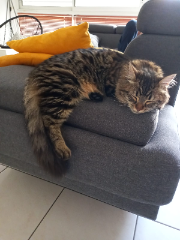 Photo de Uguette