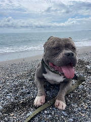 Tyson
