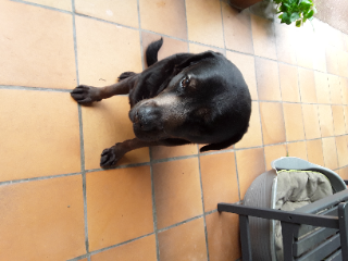 Photo de Djo