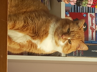 Caramel