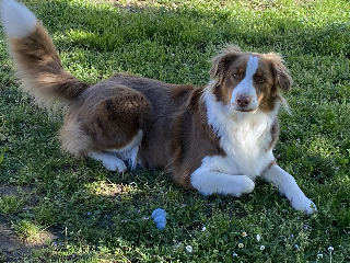 Photo de Sally