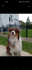 Photo de Ruben