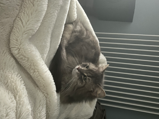 Photo de Poupette