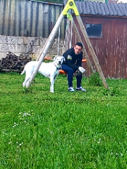 Photo de PAPUCHE