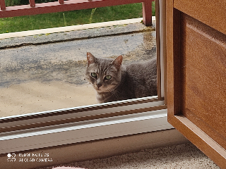 Photo de Stormy