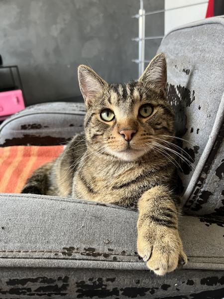 Photo de Kiko