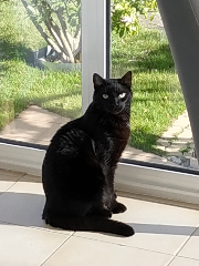 Photo de Oréo