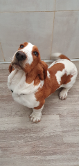 Unique Theo