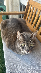 Lilith