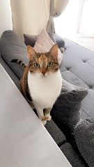 Photo de Chanel