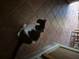 Photo de Yammi