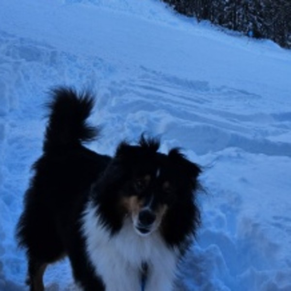 Photo de OZOU