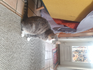 Rita