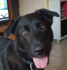 Photo de CHOCAPI