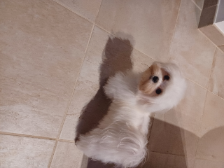 Ubby