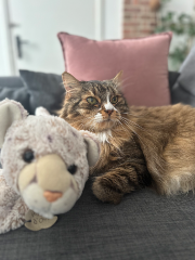 Photo de Bicky