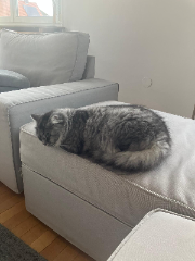 Photo de Yuki