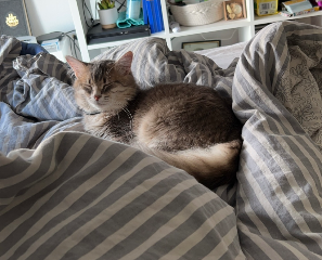 Léo